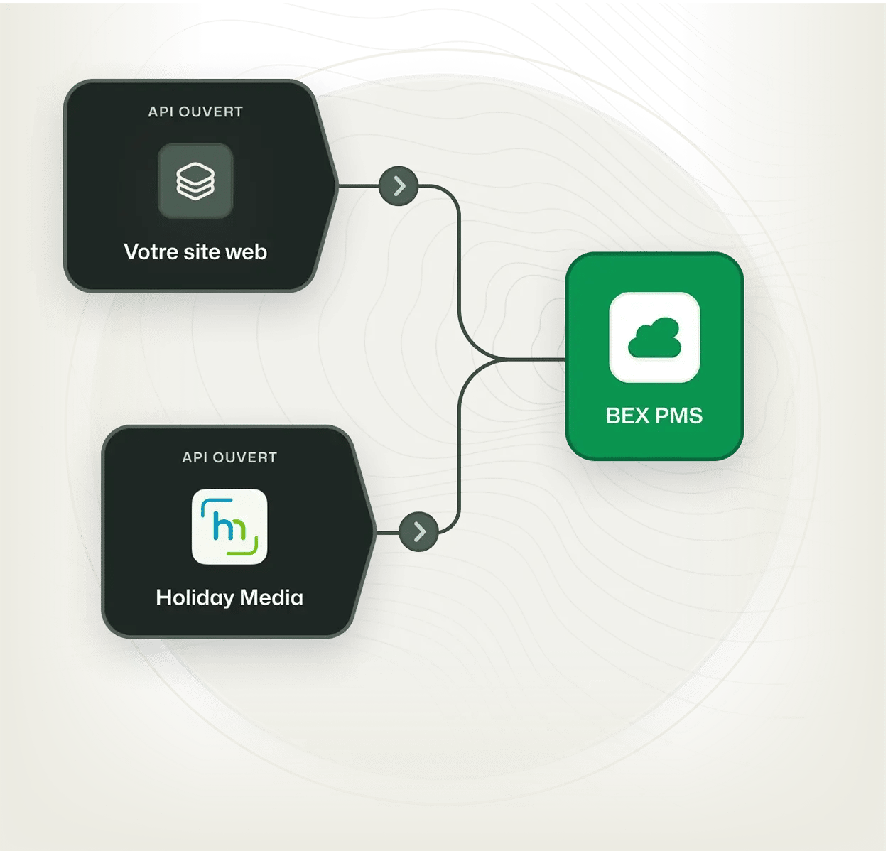 Intégration du site web BEX